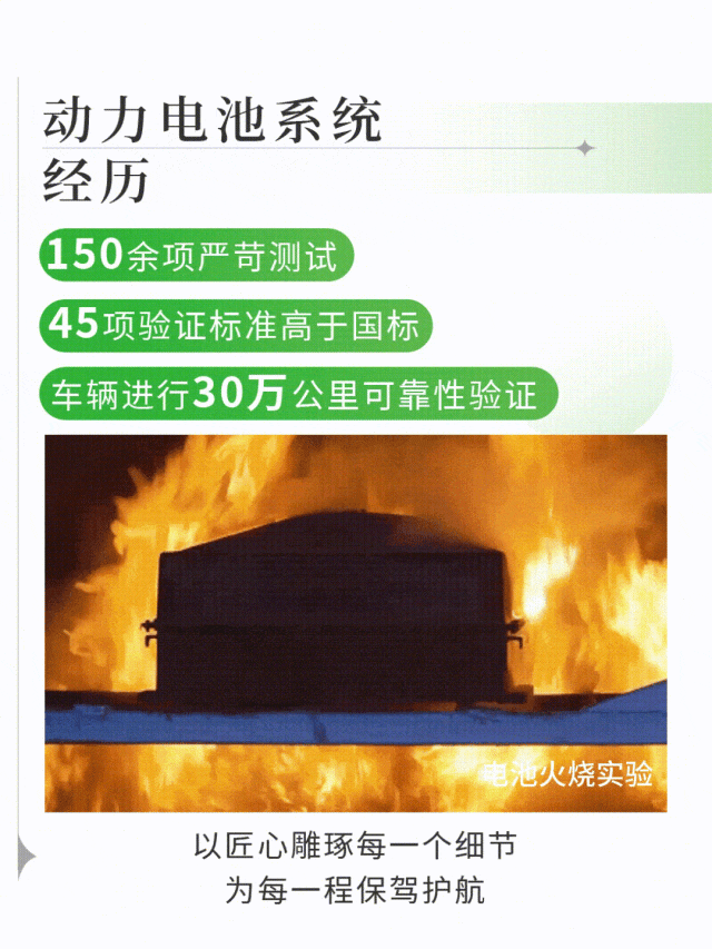 壹定发观光车|2024承载梦想，2025为青春加电启航新篇章