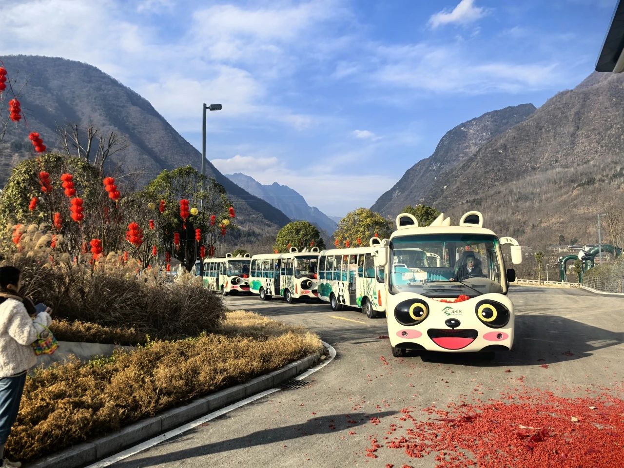 2025年景区交通该往哪儿发力？壹定发观光车助力打造景区交通运营新“范式”